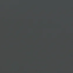 Linge De Table^Muji Lot de 4 dessous de verre en cuir recyclé, Graphite