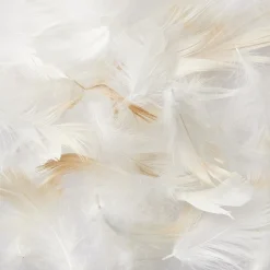 Couettes Et Oreillers^Muji Oreiller en plumes  43 x 63 cm