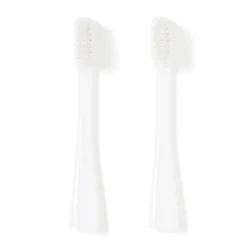 Soin Bucco‐Dentaires|Accessoires De Voyage^Muji Têtes de brosse à dents de rechange ‐ Poils moyens, lot de 2
